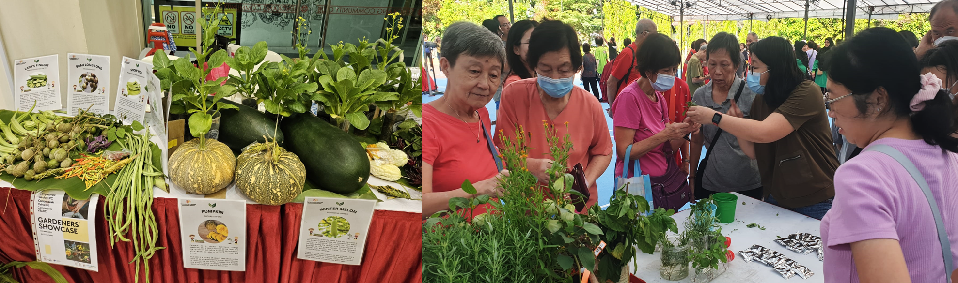 Harvest sharing event with community gardeners